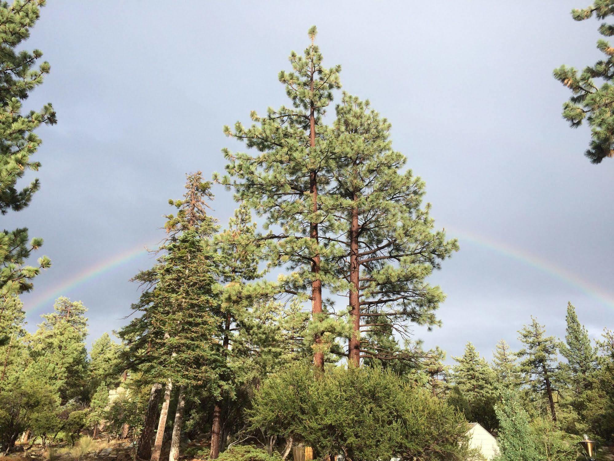 Cienaga Creek Ranch Villa Big Bear Lake Exterior foto