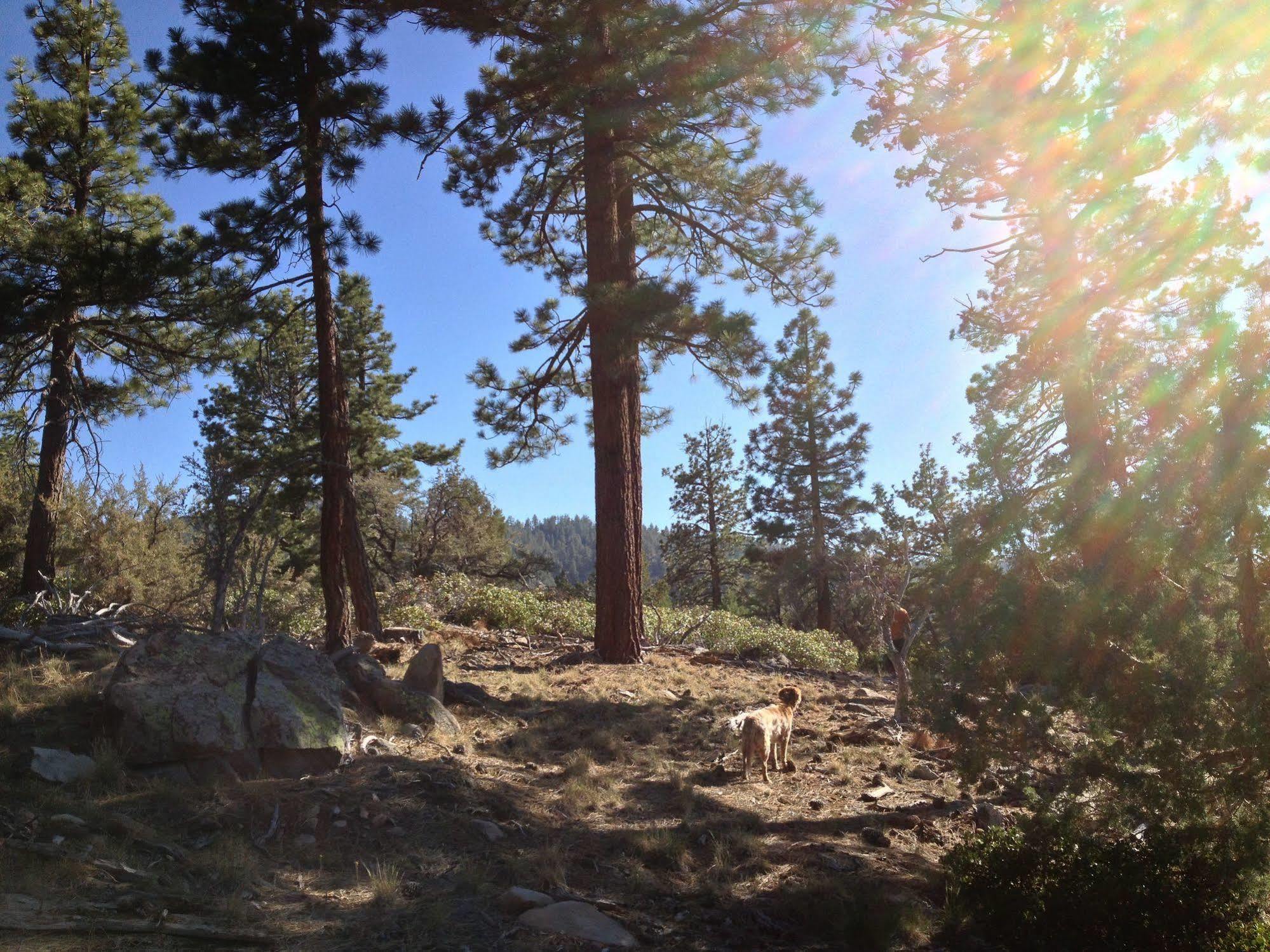Cienaga Creek Ranch Villa Big Bear Lake Exterior foto